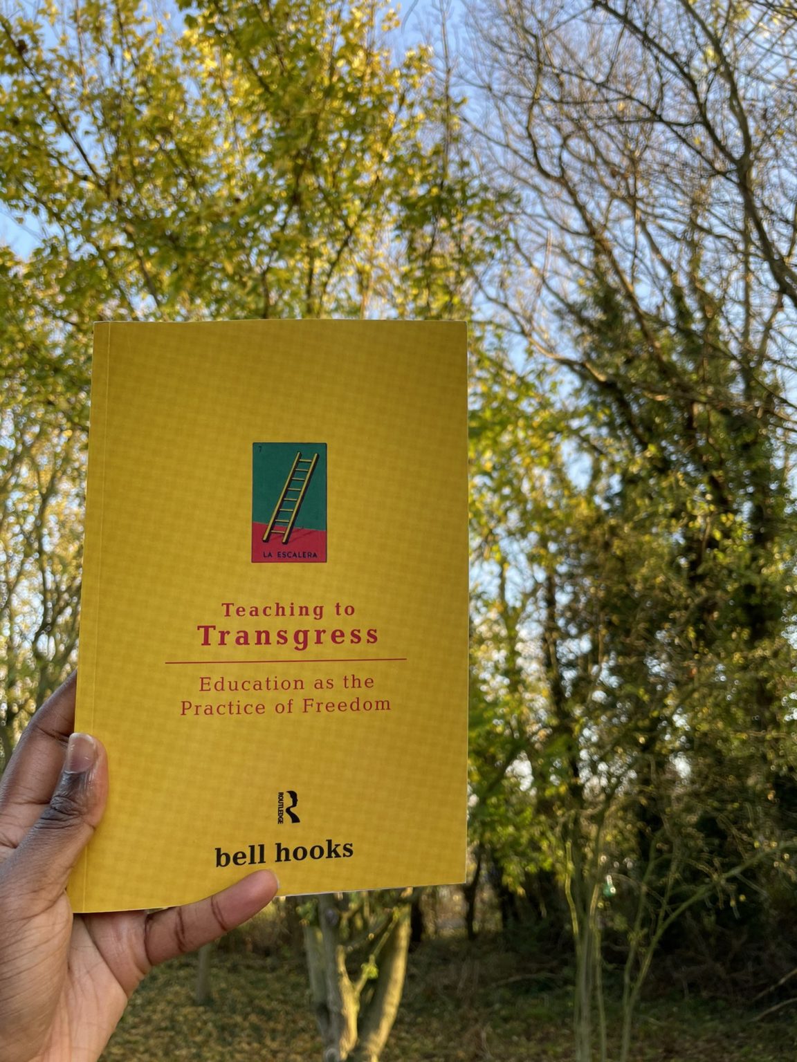 bell hooks learning to transgress bell hooks learning to transgress